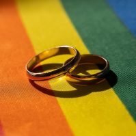 Happily Never After: Inside the Shadowy War to End Gay Marriage