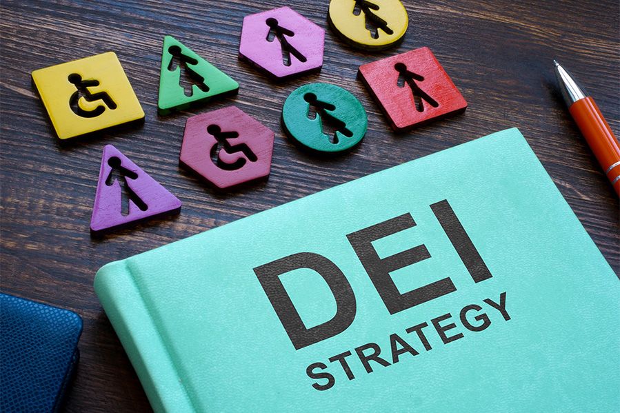 book entitled DEI strategy