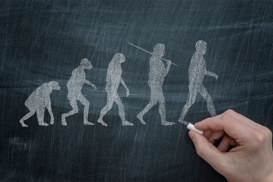 depiction of human evolution written on chalkboard