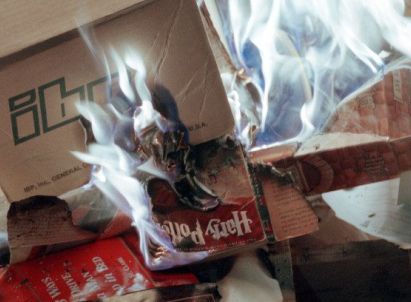 A Harry Potter book is burned.