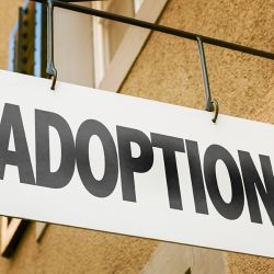 No Jews Allowed: Christian Adoption Home Can Legally Discriminate, Court Says