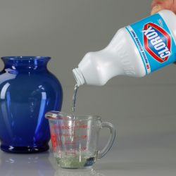 Controversial Church Believes Drinking Bleach Cures All Diseases