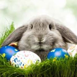 Easter and Ostara: Converging Traditions