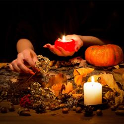 Witches: Spells Against Donald Trump "Not Working"