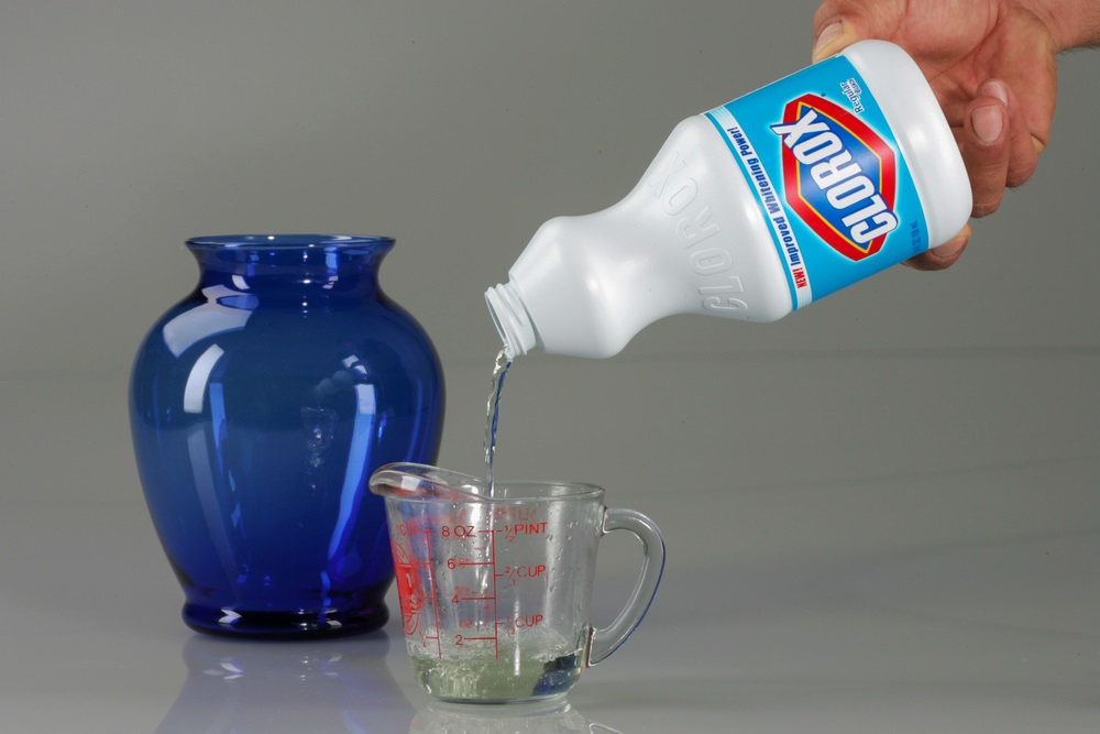 Controversial Church Believes Drinking Bleach Cures All Diseases